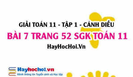 Giải bài 7 trang 52 Toán 11 tập 1 SGK Cánh Diều